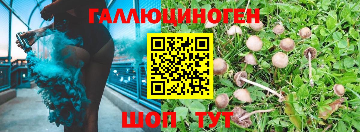 МЕФ кристаллы  Альфа ПВП СОЛЬ   Елабуга  Вход с VPN  Гашиш  Каннабис  Cocaine  Продажа наркотиков 