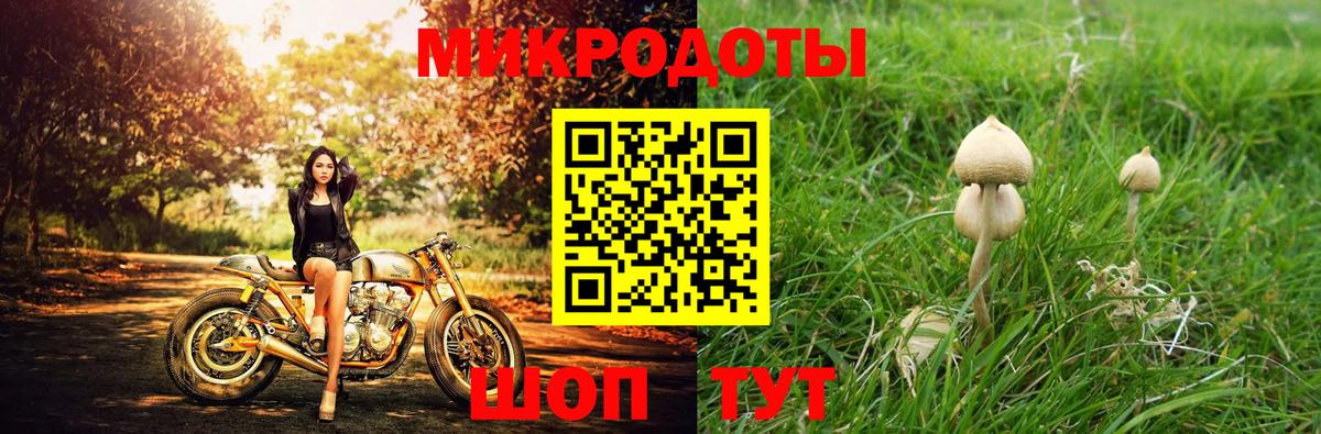 Псилоцибиновые грибы GOLDEN TEACHER  Вход с VPN  Елабуга  Псилоцибиновые грибы GOLDEN TEACHER 